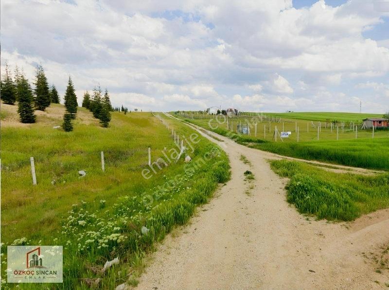 Özkoç'tan Temelli De Göl Yakını Harika Bu Haftaya Özel Fiyat — fotoğraf 14