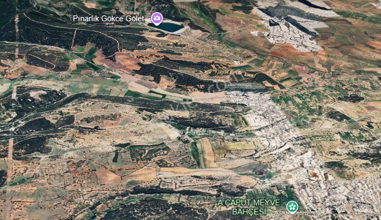 Denizli Tavas Kızılcabölük'te 47 Dönüm Satılık Tarla — fotoğraf 2