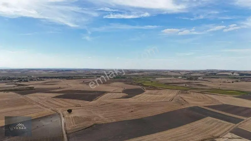 Habibhocada 97 Dönüm | Şehre & Yeni Hastaneye Yakın Yakın Tarla — fotoğraf 2