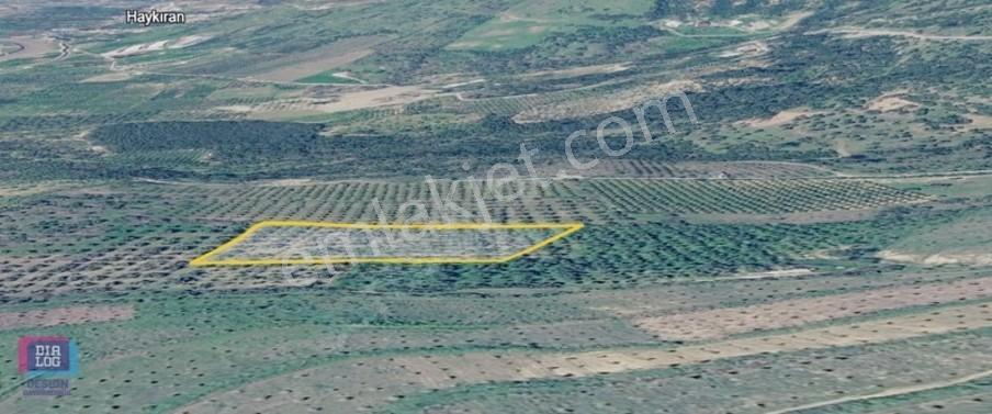 Menemen İğnedere'de Satılık Tarla — fotoğraf 3