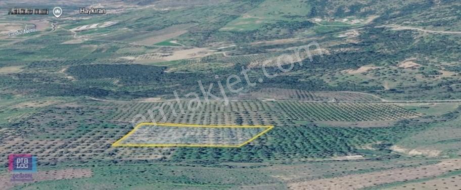 Menemen İğnedere'de Satılık Tarla — fotoğraf 7