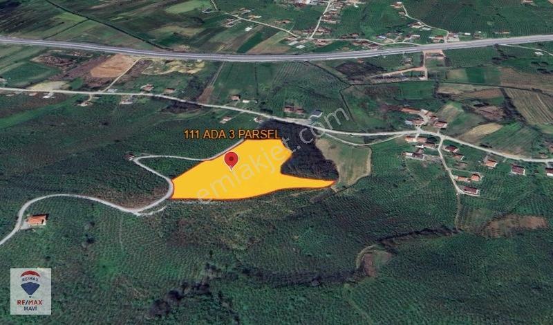 Karasu Kurumeşede Ana Yola 80 M. Mesafede 19.579 M² Tarla — fotoğraf 8