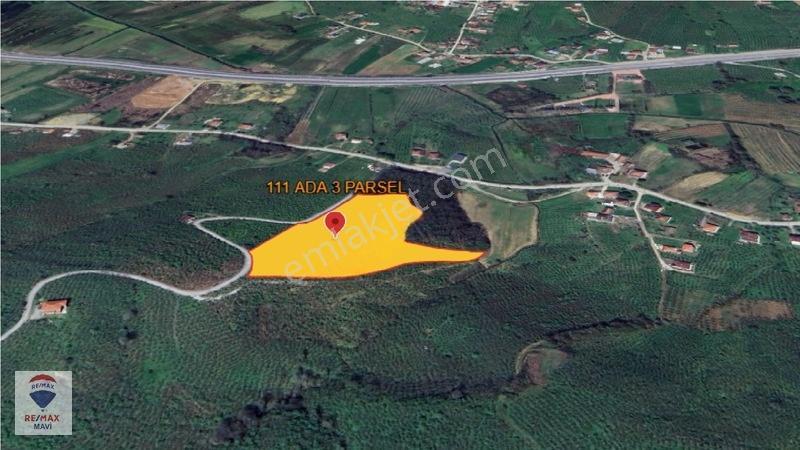 Karasu Kurumeşede Ana Yola 80 M. Mesafede 19.579 M² Tarla — fotoğraf 9