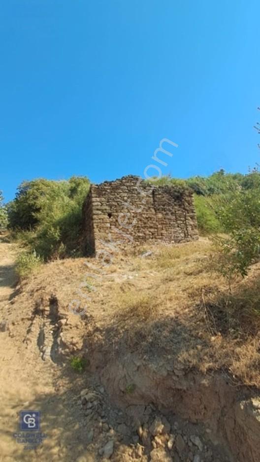 Söke Nalbantlarda Söke Ovası Manzaralı 700 M² Ev Yapımına Hazır — fotoğraf 9
