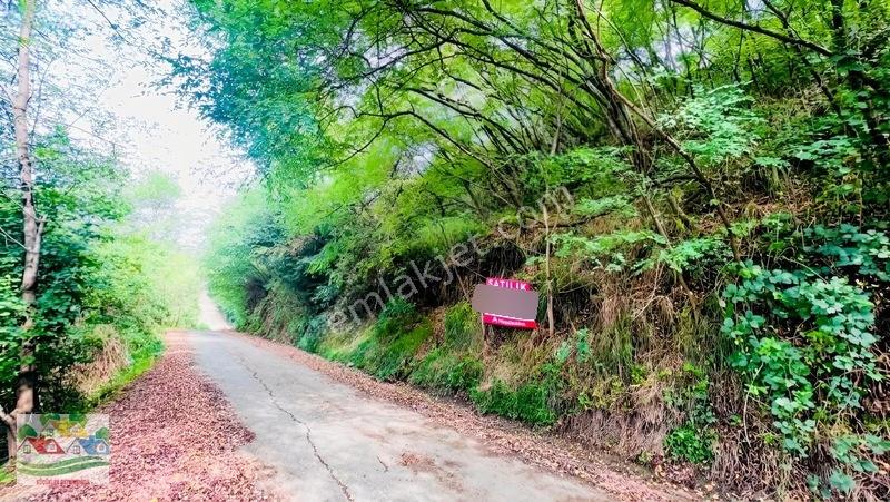 Trabzon Karakaya Da Satılık 2 Parsel