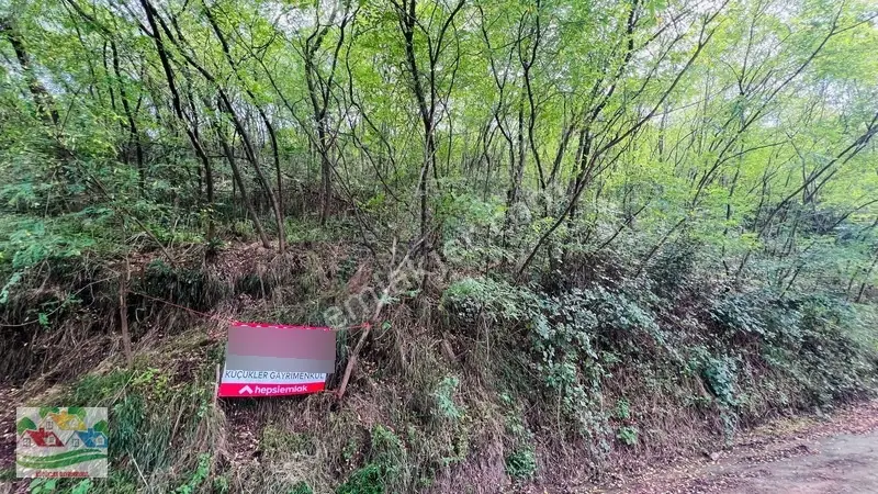 Trabzon Karakaya Da Satılık 2 Parsel — fotoğraf 3