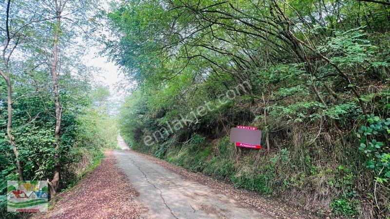 Trabzon Karakaya Da Satılık 2 Parsel — fotoğraf 4