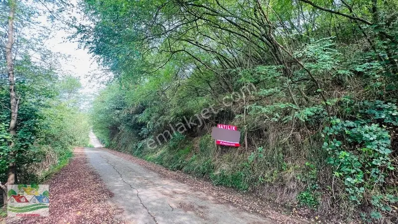 Trabzon Karakaya Da Satılık 2 Parsel — fotoğraf 6