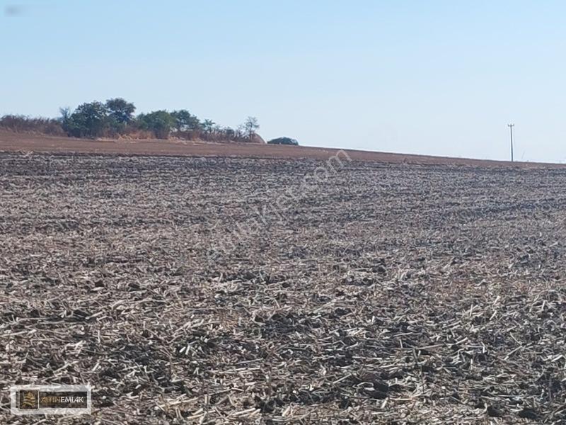 Tekirdağ Gazioğlu Mah.de Deniz Manzaralı Satılık Fırsat Arazi — fotoğraf 10
