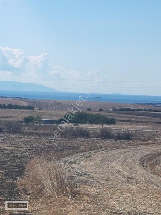 Tekirdağ Gazioğlu Mah.de Deniz Manzaralı Satılık Fırsat Arazi — fotoğraf 13