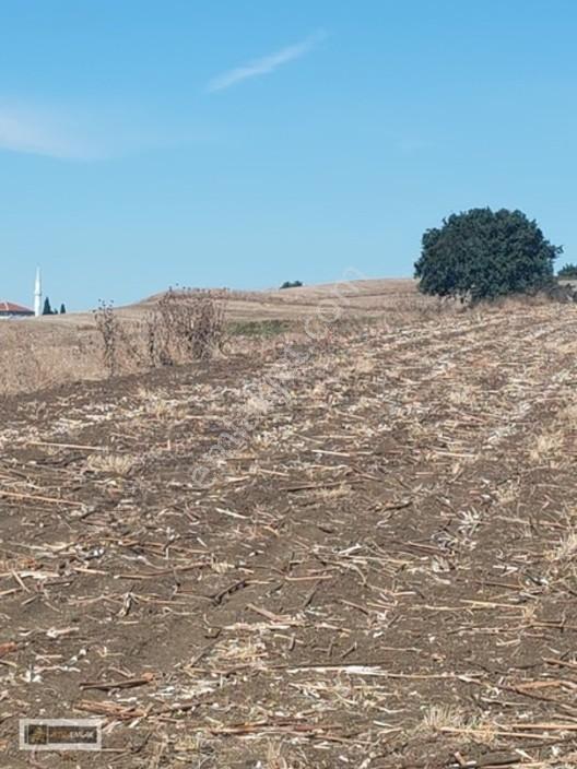 Tekirdağ Gazioğlu Mah.de Deniz Manzaralı Satılık Fırsat Arazi — fotoğraf 16