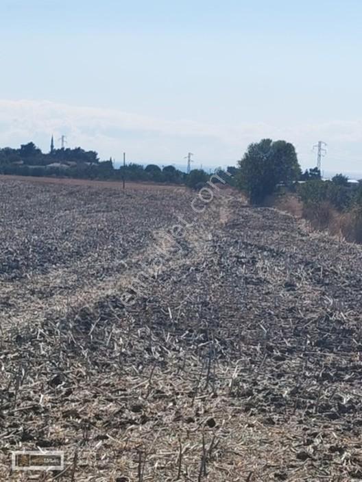 Tekirdağ Gazioğlu Mah.de Deniz Manzaralı Satılık Fırsat Arazi — fotoğraf 18