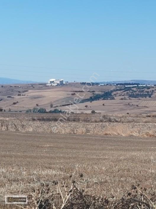 Tekirdağ Gazioğlu Mah.de Deniz Manzaralı Satılık Fırsat Arazi — fotoğraf 19