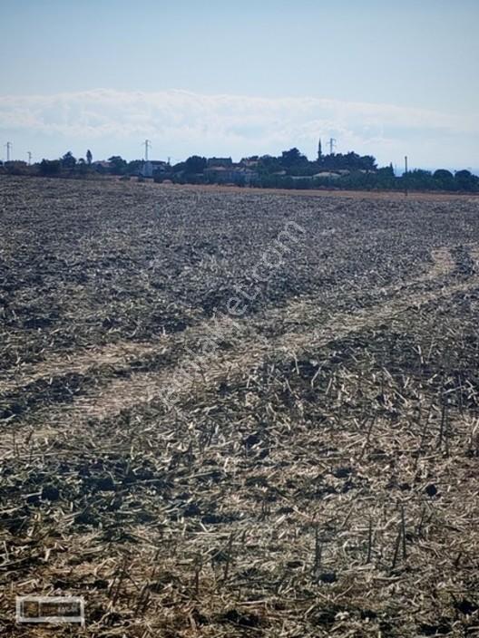 Tekirdağ Gazioğlu Mah.de Deniz Manzaralı Satılık Fırsat Arazi — fotoğraf 22
