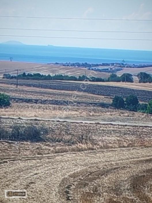 Tekirdağ Gazioğlu Mah.de Deniz Manzaralı Satılık Fırsat Arazi — fotoğraf 26