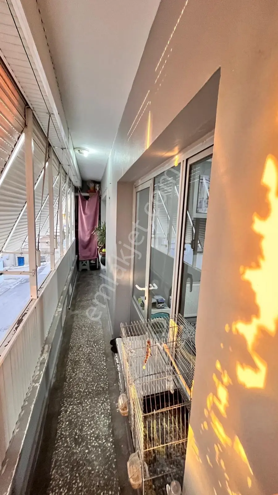 Zeytinlik Te Sıfır Daiere Sıfır Ayarında — fotoğraf 6