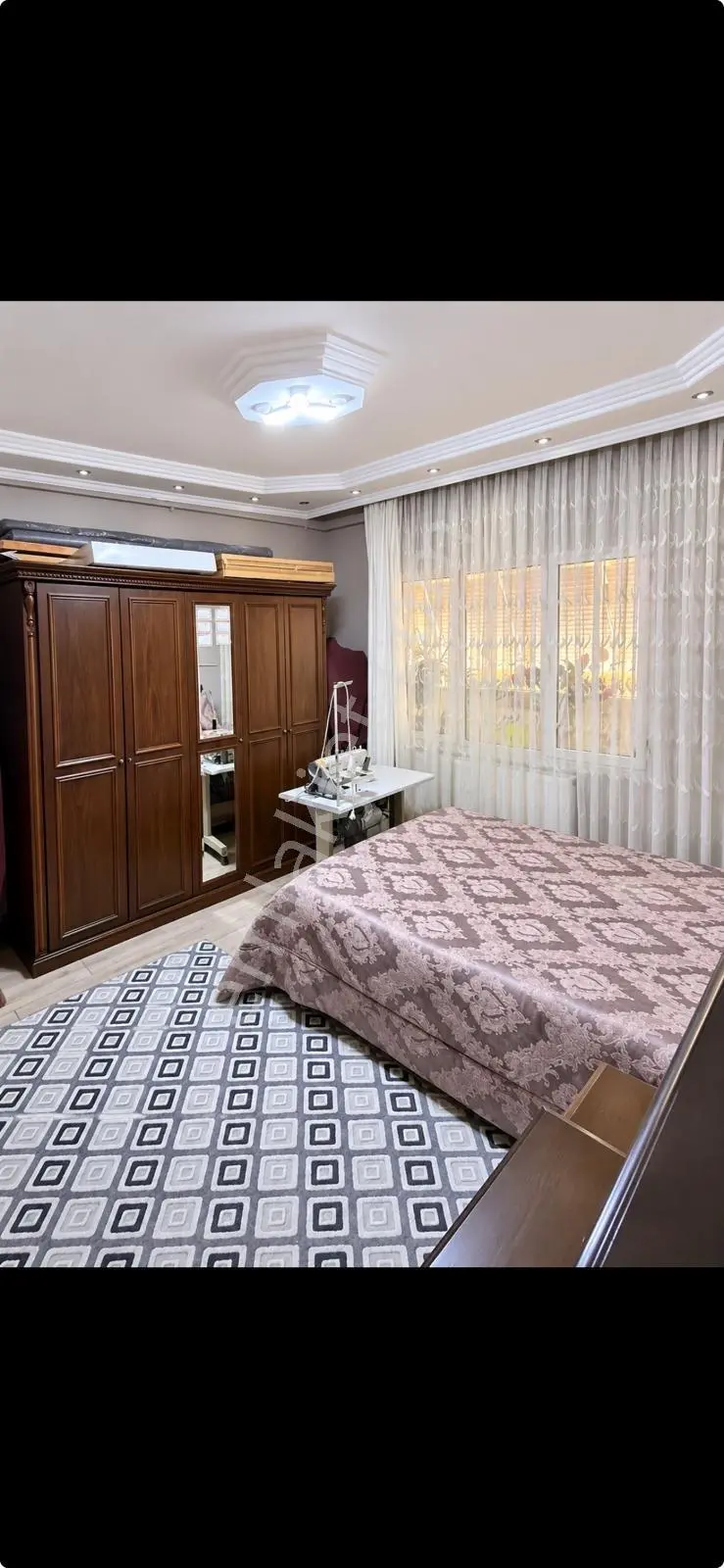 Zeytinlik Te Sıfır Daiere Sıfır Ayarında — fotoğraf 9