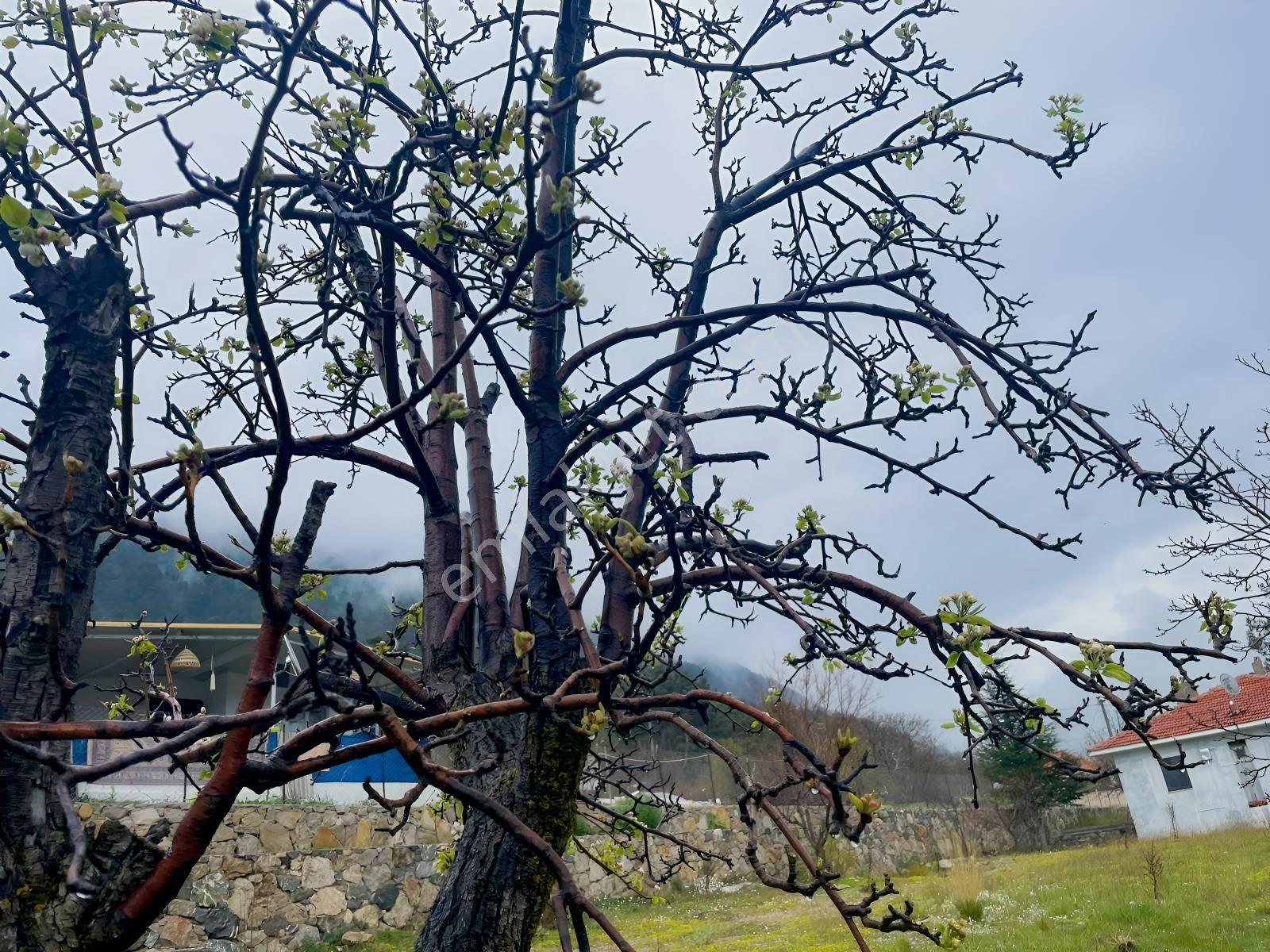 Fethiye'nin En Güzel Yaylası Koru'da 2 Katlı Müstakil Ev — fotoğraf 16