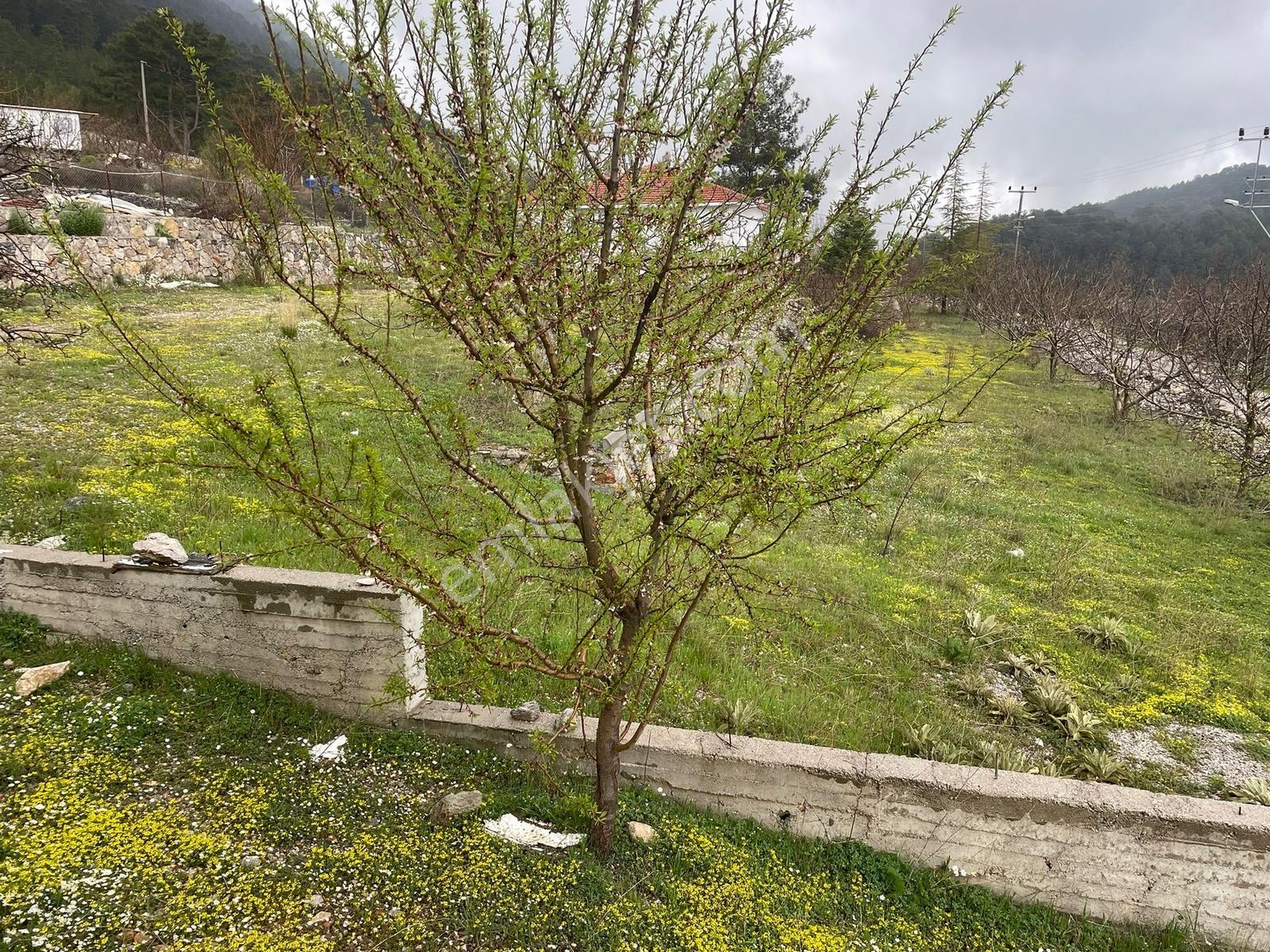 Fethiye'nin En Güzel Yaylası Koru'da 2 Katlı Müstakil Ev — fotoğraf 24