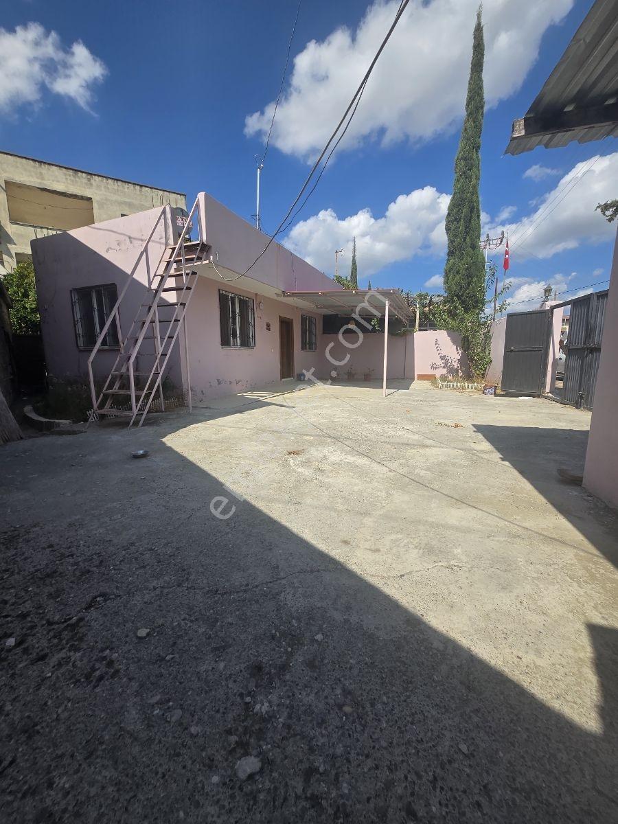 Vesile'den Tek Katlı Cadde Üzeri Müstakil 2+1 — fotoğraf 13