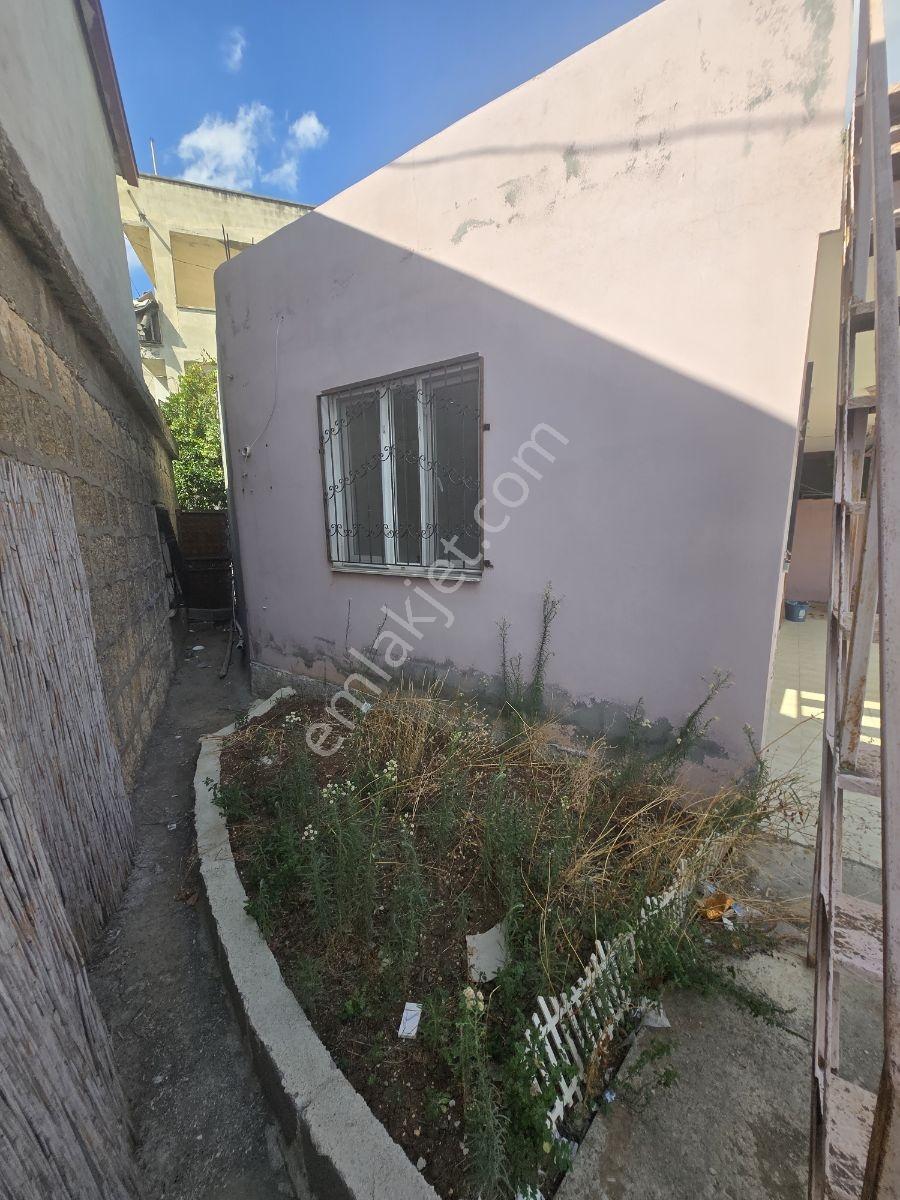 Vesile'den Tek Katlı Cadde Üzeri Müstakil 2+1 — fotoğraf 17