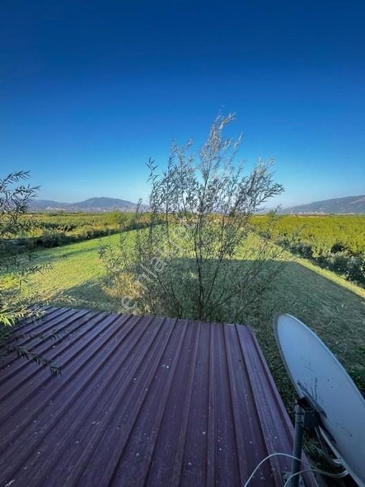 Nazilli Sümer Mahallesinde 4.109 M² Arazi İçerisinde — fotoğraf 21