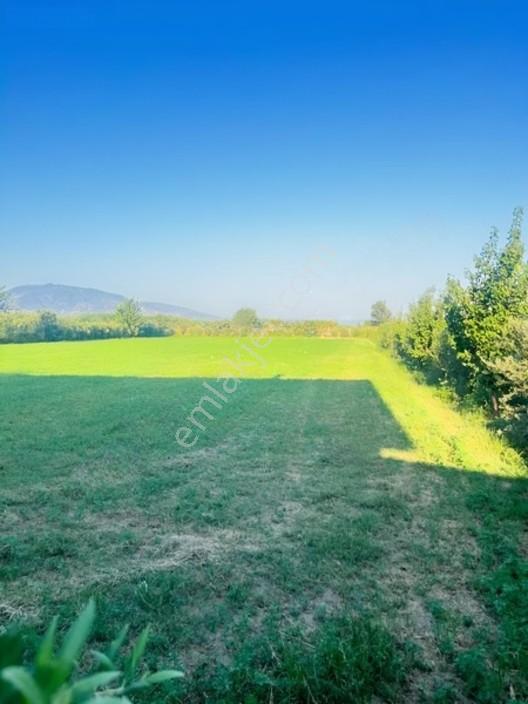 Nazilli Sümer Mahallesinde 4.109 M² Arazi İçerisinde — fotoğraf 22