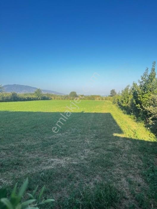 Nazilli Sümer Mahallesinde 4.109 M² Arazi İçerisinde — fotoğraf 23