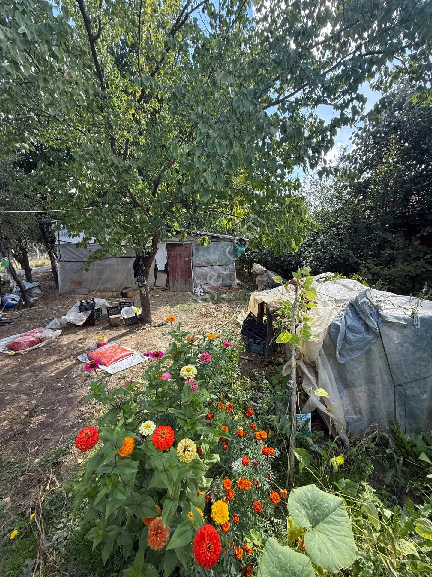 Seydişehir'de 2000 M² Bahçeli 2+1 Müstakil Ev — fotoğraf 17