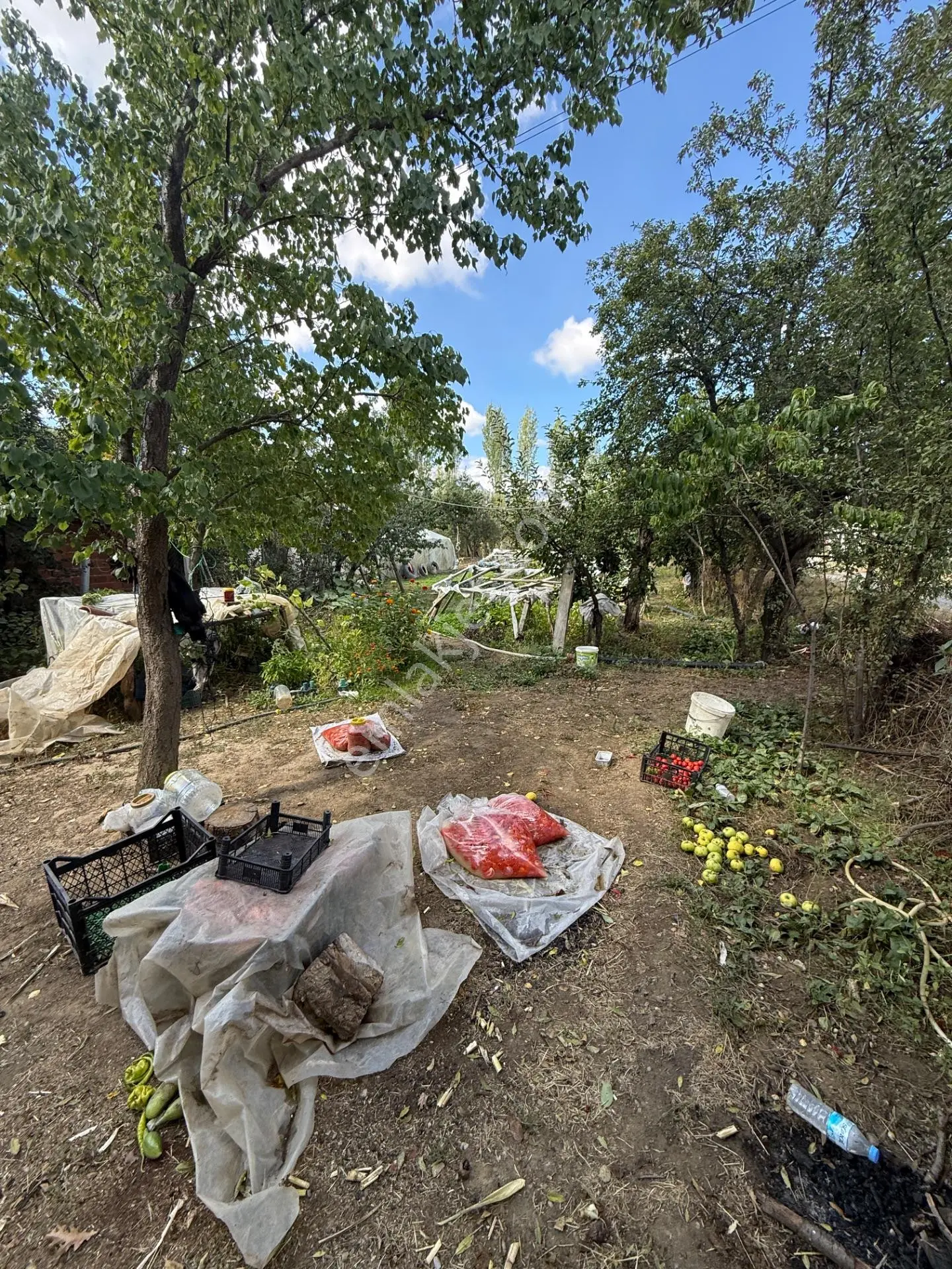 Seydişehir'de 2000 M² Bahçeli 2+1 Müstakil Ev — fotoğraf 21