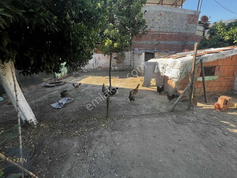 Efelerde Bahçeli Müstakil Ev — fotoğraf 18