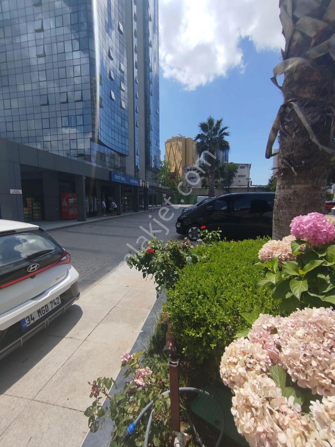 Dap Adam Kule Cevızlı Eşyalı 1+0 Stüdyo | Adalar & Denız Manzara — fotoğraf 29