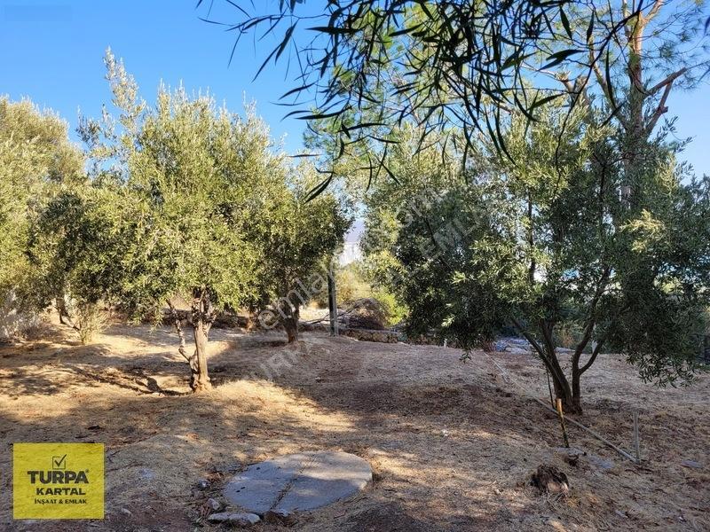 Denize 300 Metre Mesafede 1+1 Parasına 2+1 Daire Fırsatı — fotoğraf 13