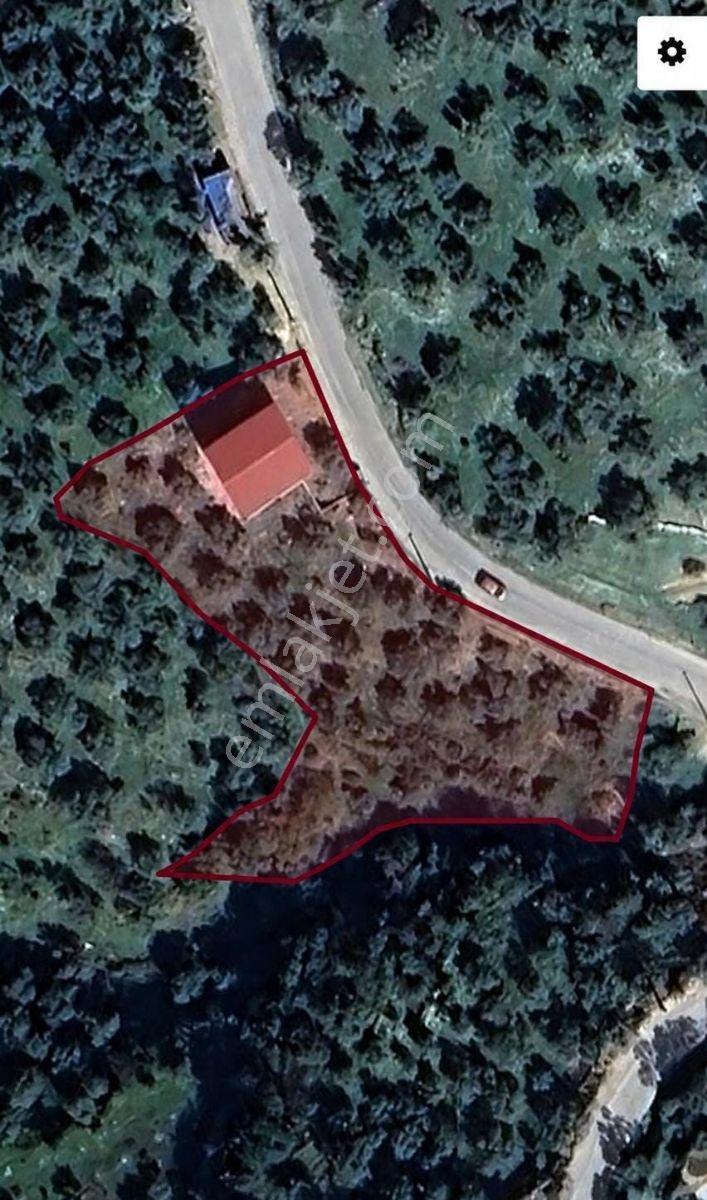2500m2 Arazi Ve Müstakil Ev Dükkan Ve Otopark, Anayol Kenarı — fotoğraf 2
