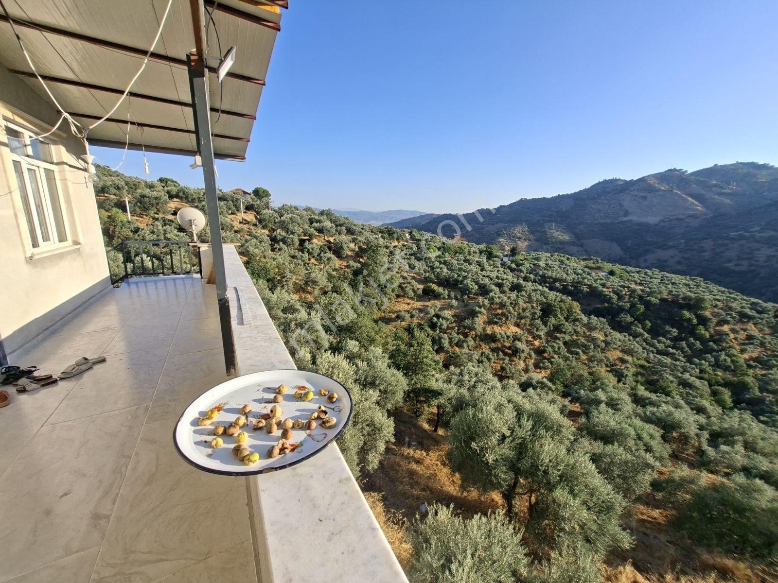 2500m2 Arazi Ve Müstakil Ev Dükkan Ve Otopark, Anayol Kenarı — fotoğraf 29