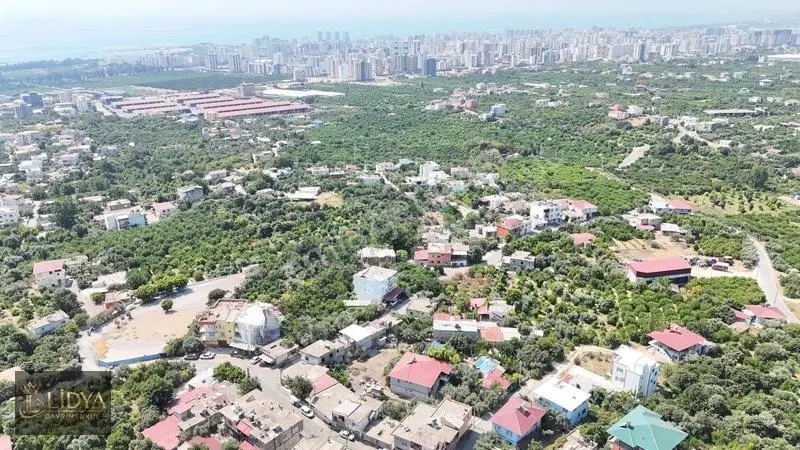 Kargıcak'ta 760 M2 Satılık Arsa Ve Kargir Ev+dükkan — fotoğraf 18
