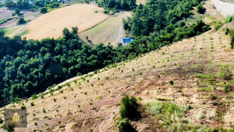 Manisa Gördes Karayağcıda 68.435 M² Büyük Tarla — fotoğraf 3
