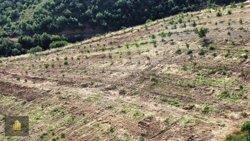 Manisa Gördes Karayağcıda 68.435 M² Büyük Tarla — fotoğraf 6