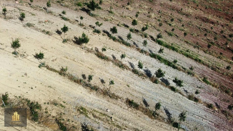 Manisa Gördes Karayağcıda 68.435 M² Büyük Tarla — fotoğraf 11