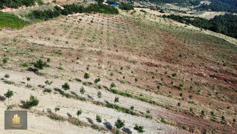 Manisa Gördes Karayağcıda 68.435 M² Büyük Tarla — fotoğraf 12