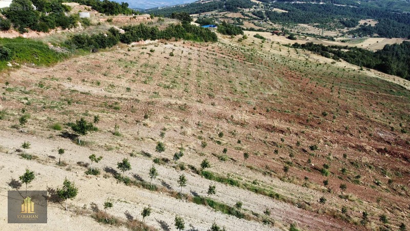Manisa Gördes Karayağcıda 68.435 M² Büyük Tarla — fotoğraf 13