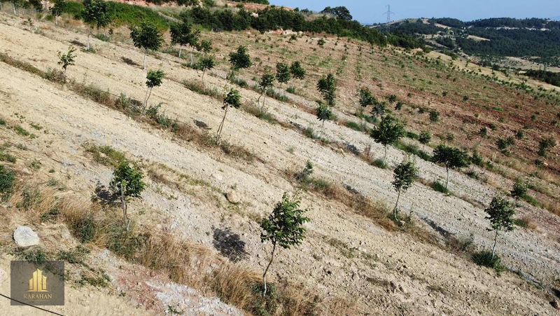 Manisa Gördes Karayağcıda 68.435 M² Büyük Tarla — fotoğraf 14