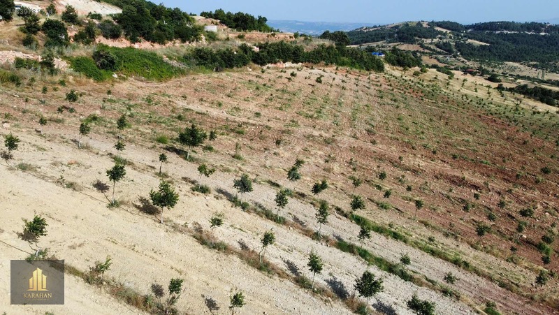 Manisa Gördes Karayağcıda 68.435 M² Büyük Tarla — fotoğraf 18