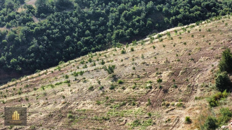 Manisa Gördes Karayağcıda 68.435 M² Büyük Tarla — fotoğraf 19