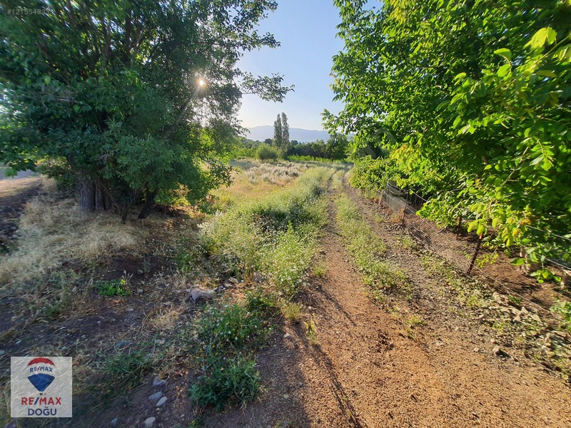 Remax Doğu'dan İçme Köyünde Resmi Yola 3 Cepheli Satılık Tarla — fotoğraf 5