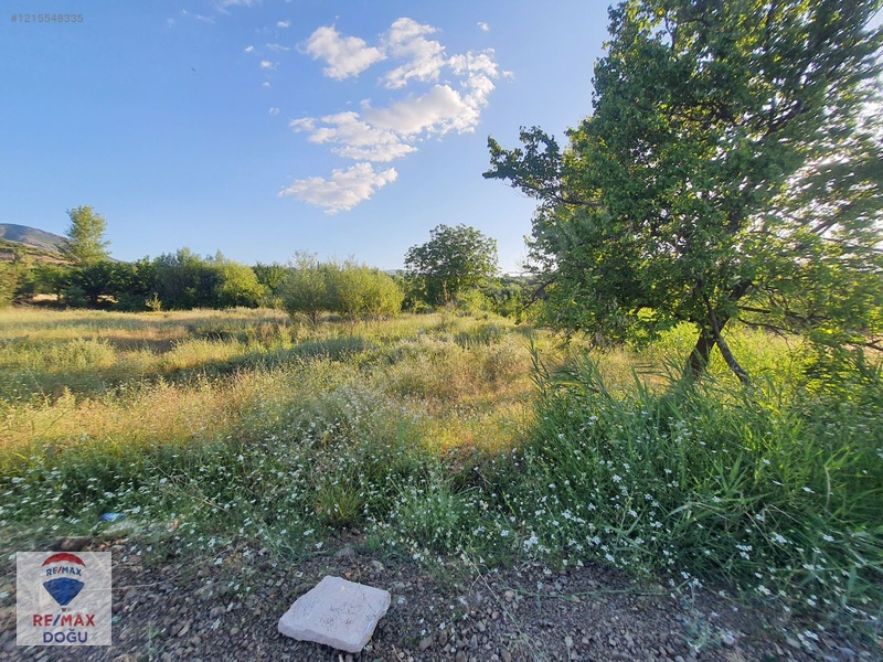 Remax Doğu'dan İçme Köyünde Resmi Yola 3 Cepheli Satılık Tarla — fotoğraf 9