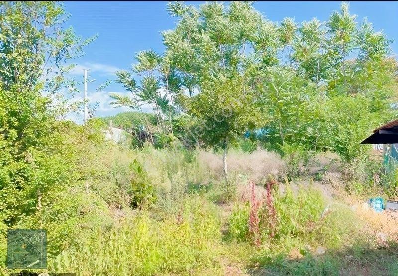 Adapazarı Süleymanbeyde Bahçeli Müstakil Ev Acil Satılık 2 Daire — fotoğraf 15