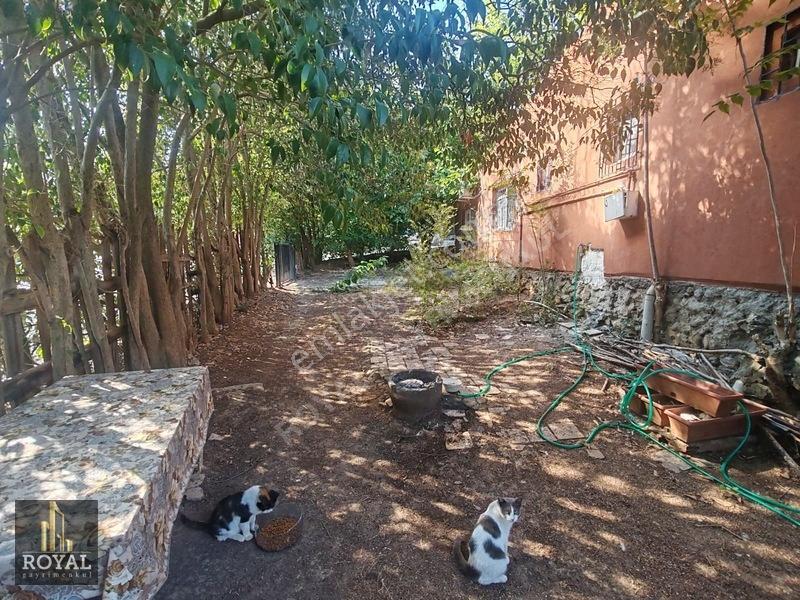 *360m2 Arsa* - 2+1 - 80m2 Müstakil Ev — fotoğraf 9