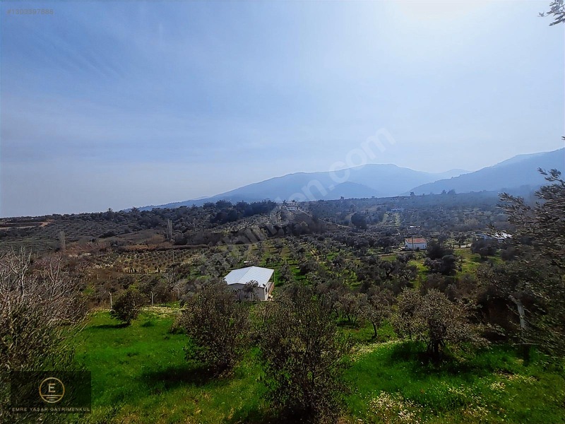 Kemalpaşa Armutluda Merkeze Çok Yakın Kupon Bahçe — fotoğraf 7
