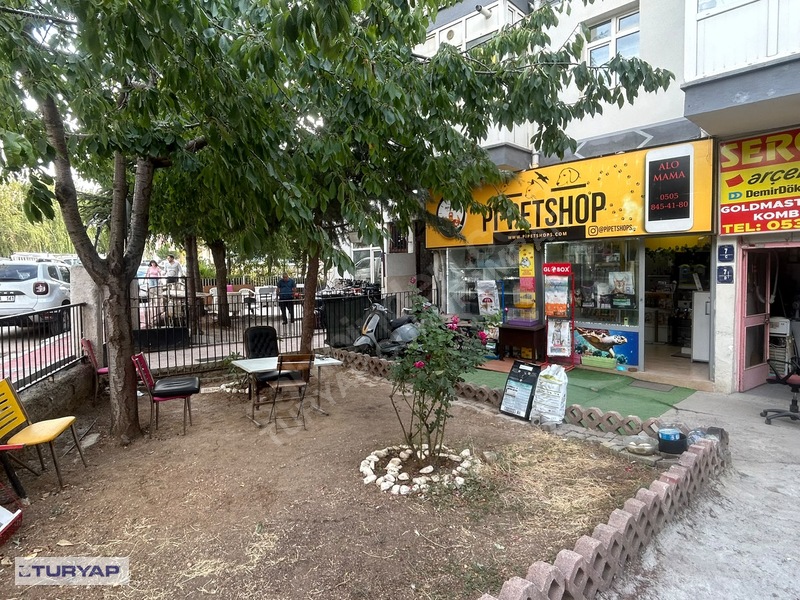7 Yıllık Müşteri Portföyüyle Hazır Petshop — fotoğraf 2